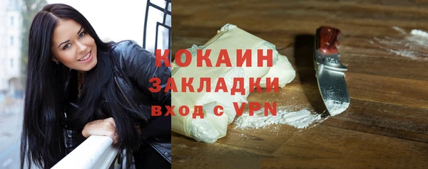 шишки Мегион