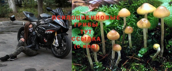 каннабис Киренск