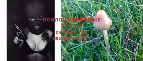 кокаин Каменногорск